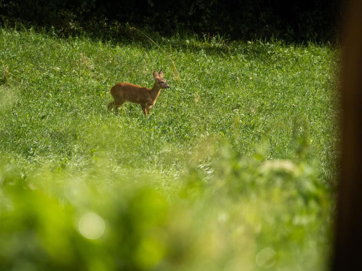 Natur Appartments Riesen San Lorenzo di Sebato Zewnętrze zdjęcie