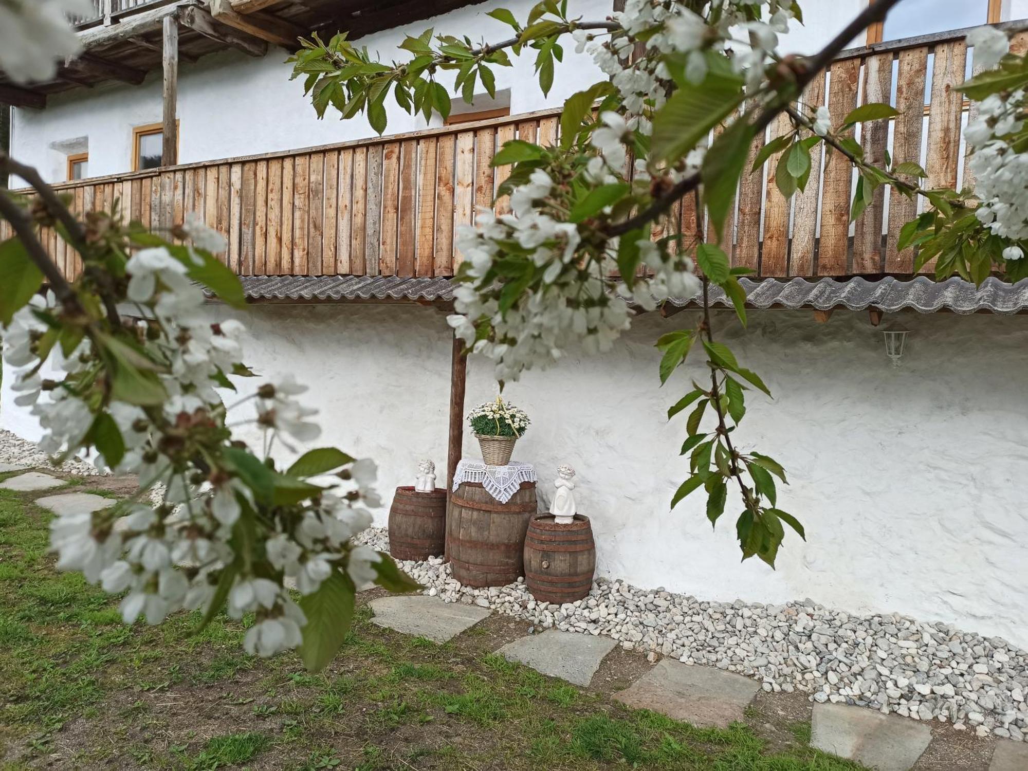 Natur Appartments Riesen San Lorenzo di Sebato Zewnętrze zdjęcie