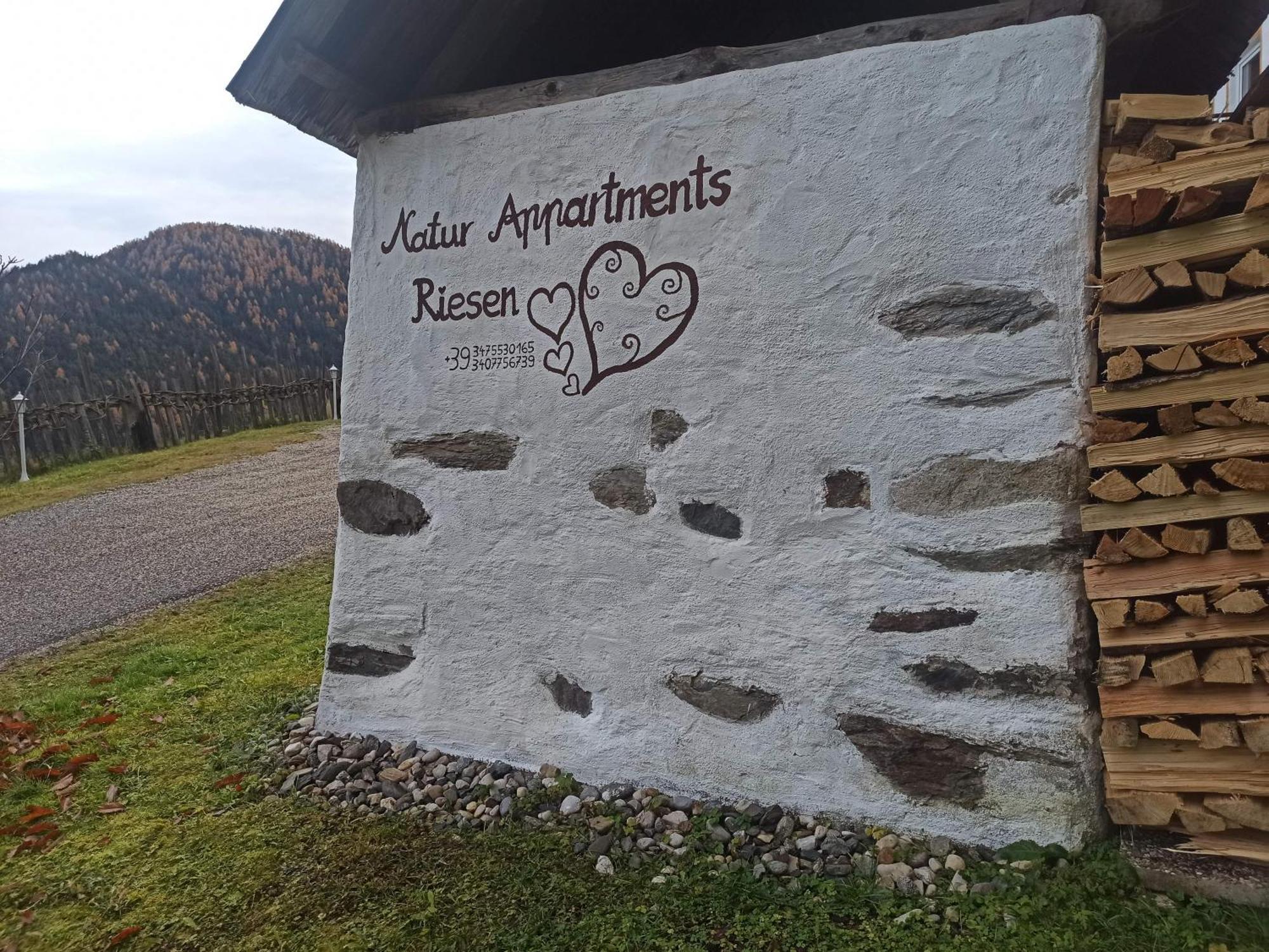 Natur Appartments Riesen San Lorenzo di Sebato Zewnętrze zdjęcie