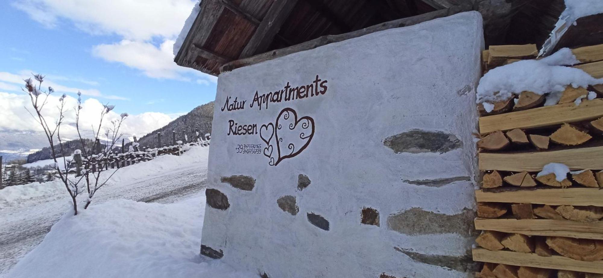 Natur Appartments Riesen San Lorenzo di Sebato Zewnętrze zdjęcie