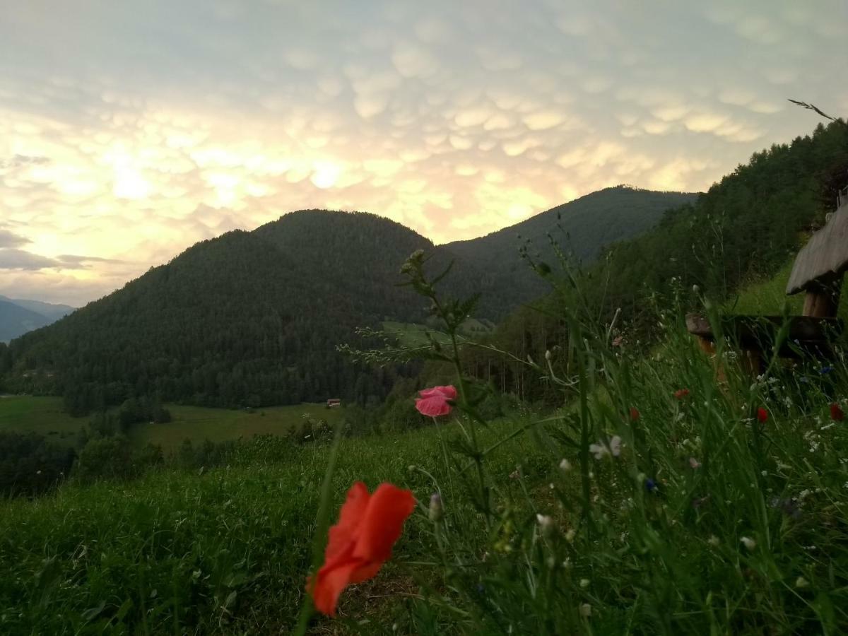 Natur Appartments Riesen San Lorenzo di Sebato Zewnętrze zdjęcie