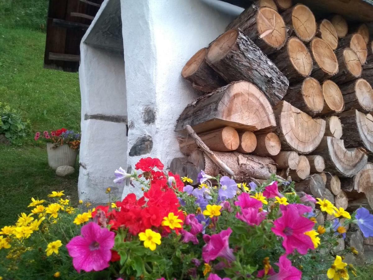 Natur Appartments Riesen San Lorenzo di Sebato Zewnętrze zdjęcie